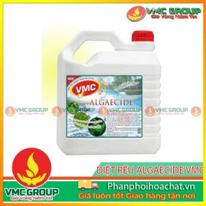 vmc-algaecide-diet-tao-chuyen-dung-cho-ho-boi-pphcvm