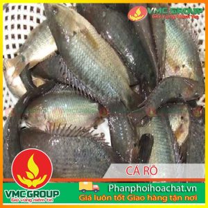 tac-nhan-gay-benh-den-than-o-ca-ro-dong-nuoi-tham-canh-pphcvm-2